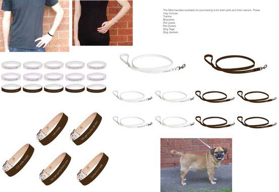 merchandise one.jpg