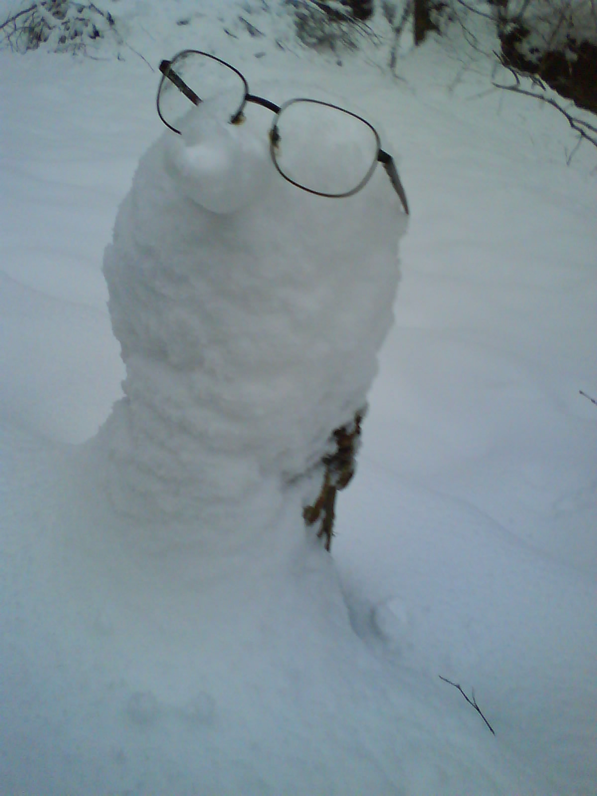 blogs/DSC00703.JPG
