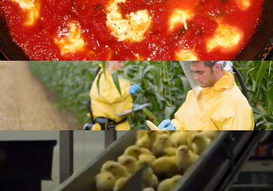 blogs/Food_Democracy_blog_post_1.550_4.jpg