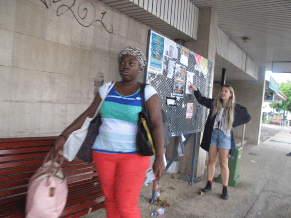 blogs/IMG_4240a.gif